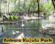 Ankara Kuğulu Park canli izle