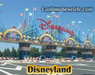 Disneyland canlı mobese izle