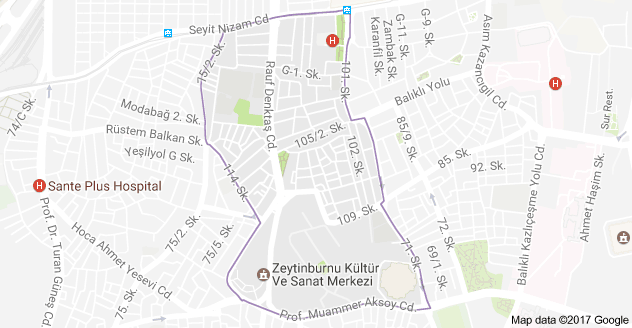 Beştelsiz Mahallesi Uydu Görüntüsü ve Haritası