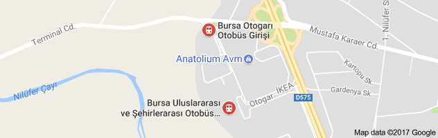 Bursa Otogarı Uydu Görüntüsü