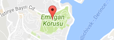 Emirgan Korusu Uydu Görüntüsü, Harita