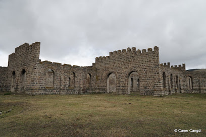 Kars Sarıkamış Ani Harabeleri Uydu Görüntüsü