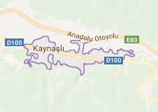 Kaynaşlı Uydu Görüntüsü Uydu Haritası Düzce