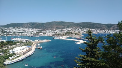 Muğla Bodrum Marinası Uydu Görüntüsü Haritası