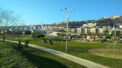 Kocaeli Seka Park Uydu Görüntüsü ve Haritası İzle