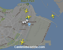 Singapur Changi Havalimanı Canlı Uçuş Uçak Takibi