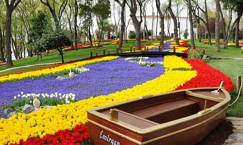 Emirgan Parkı Korusu    İstanbul