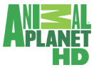 Animal Planet HD Tv Frekansı