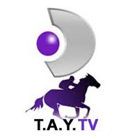 Tay Tv Frekansı